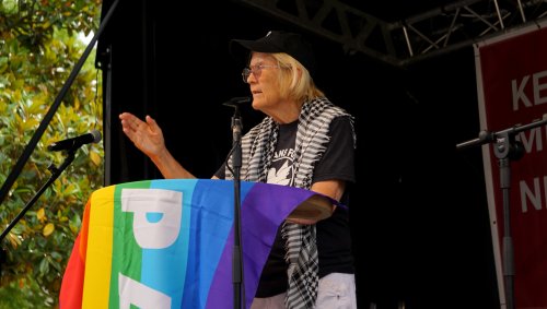 Ann Wright USA